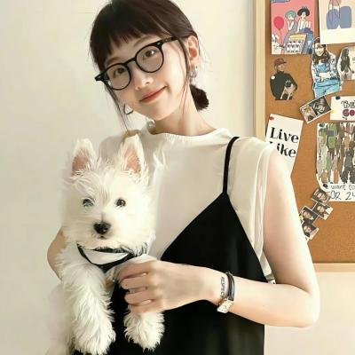 智勇双探
